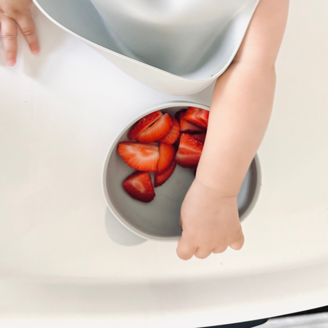 Baby Feeding Set | Silicone Bib & Bowl with Lid