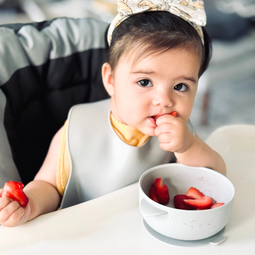 Baby Feeding Set | Silicone Bib & Bowl with Lid