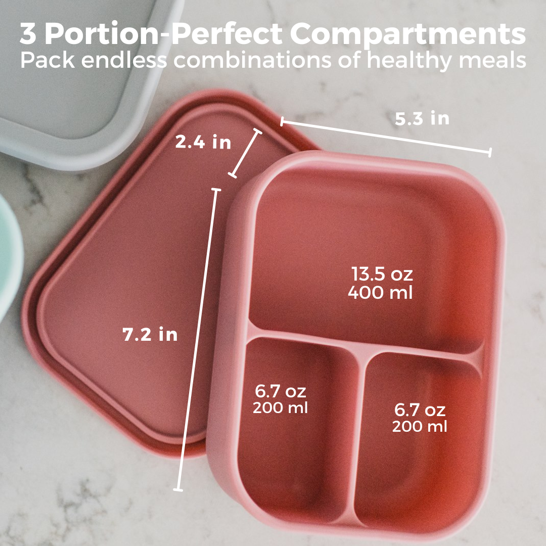 The Bento Box