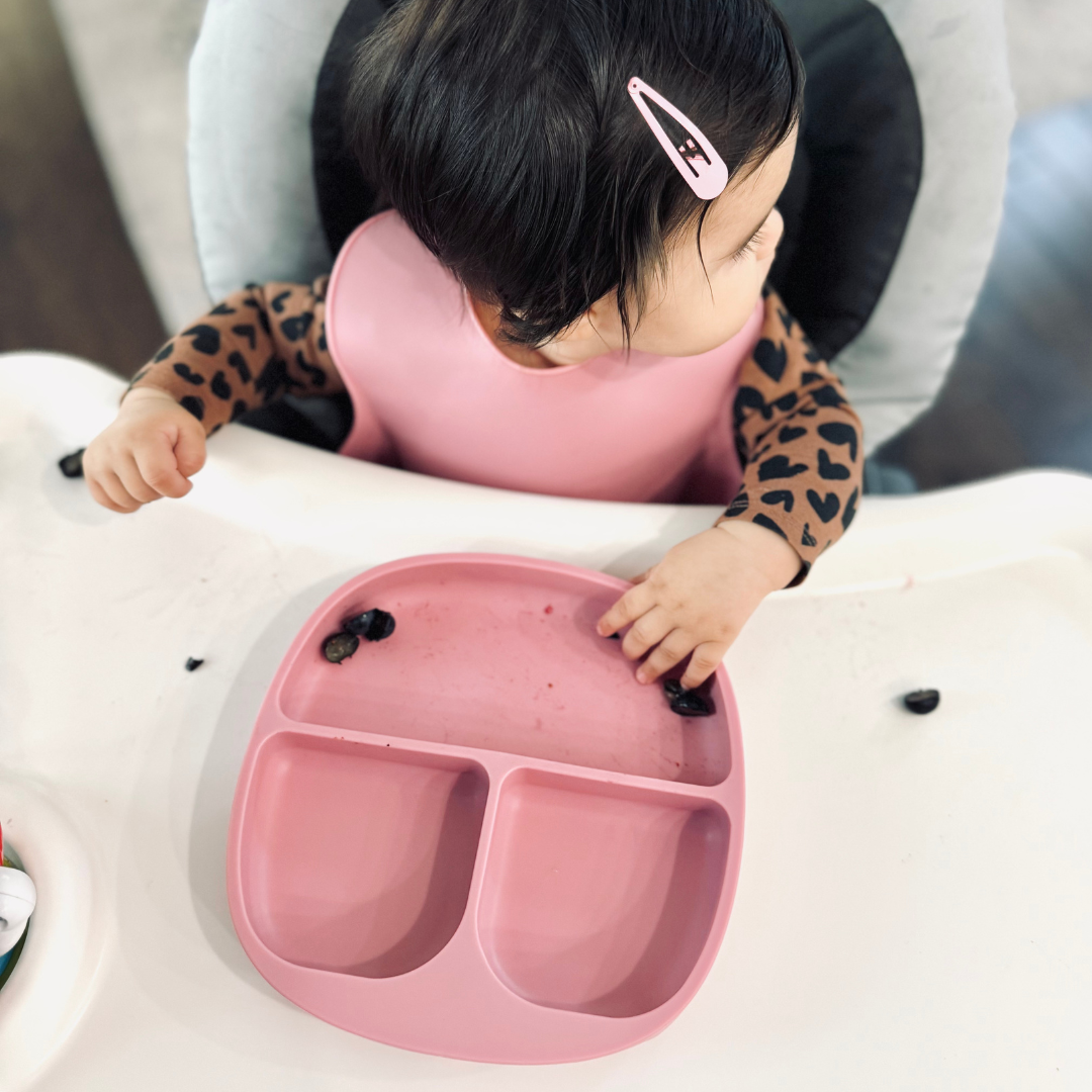 Divided Suction Plate