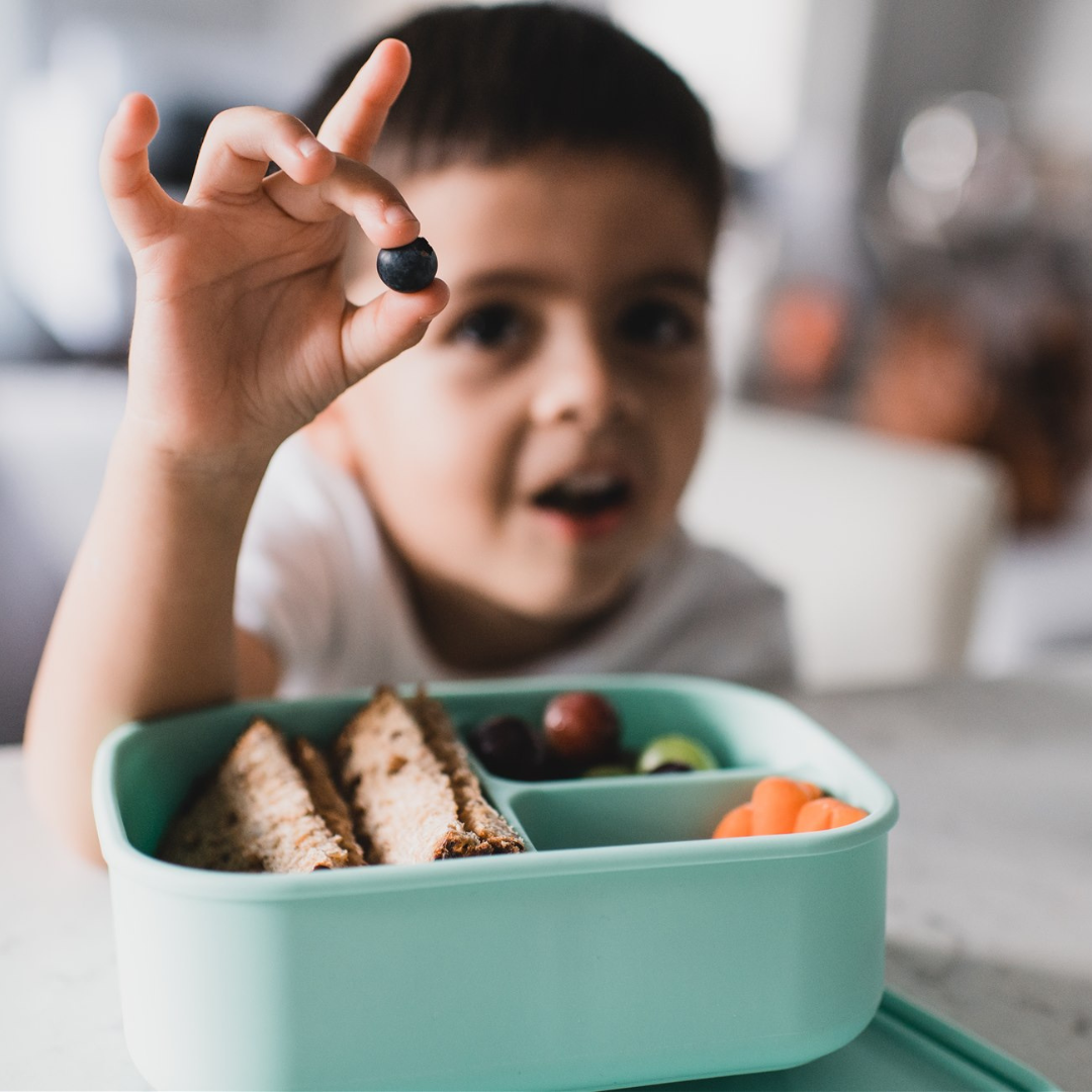 5 Benefits of Taking a Bento Box to School: Making Lunchtime Fun and Nutritious!