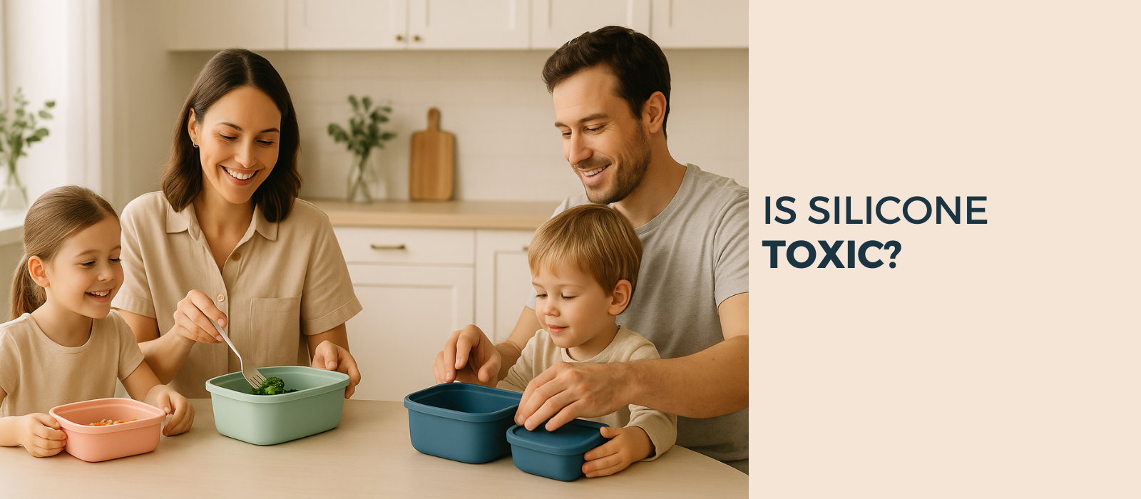 Are Silicone Food Containers Toxic?