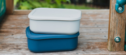 Everything You Need for Back-to-School Lunch! 🍎