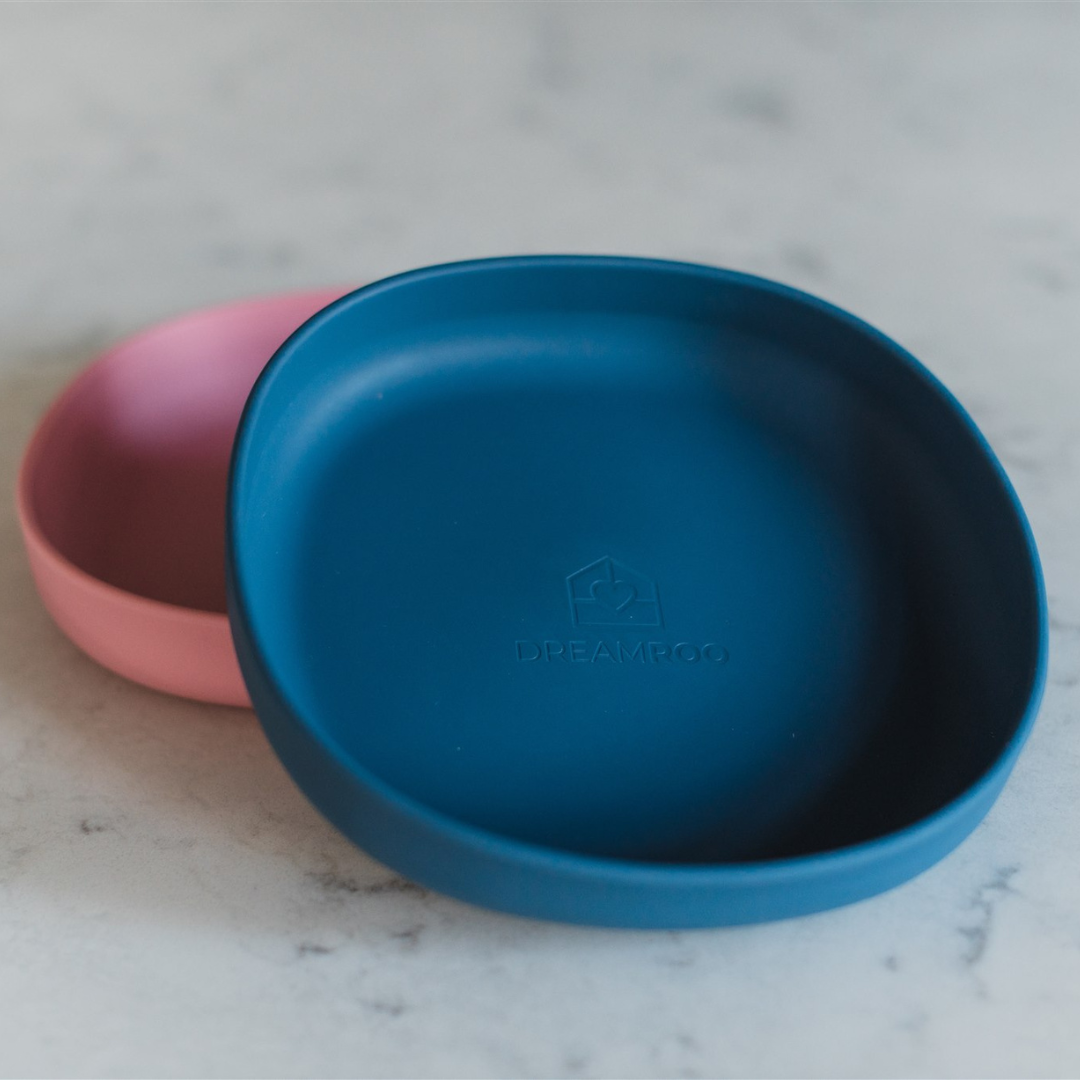 Silicone Plate - Set of 2  | $24 Value