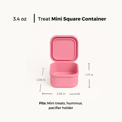 Mini Square Container