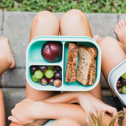 The Bento Box