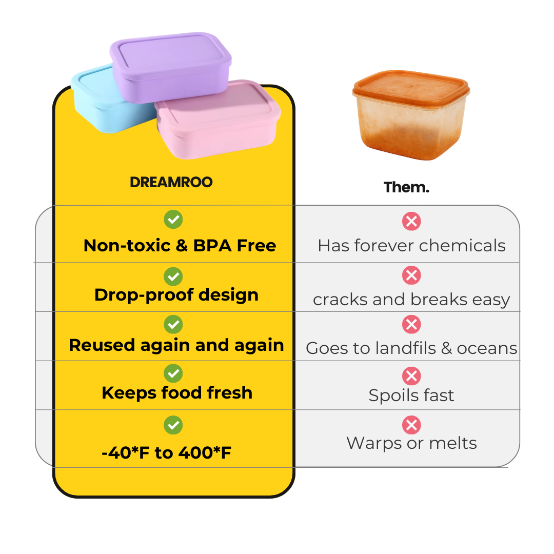 The Everyday Bento Box