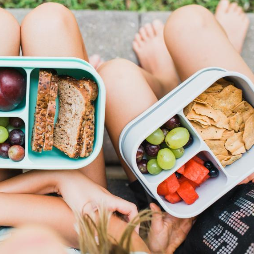 Meal Prep Bento Box Bundle | 4-Pack Lunch Set