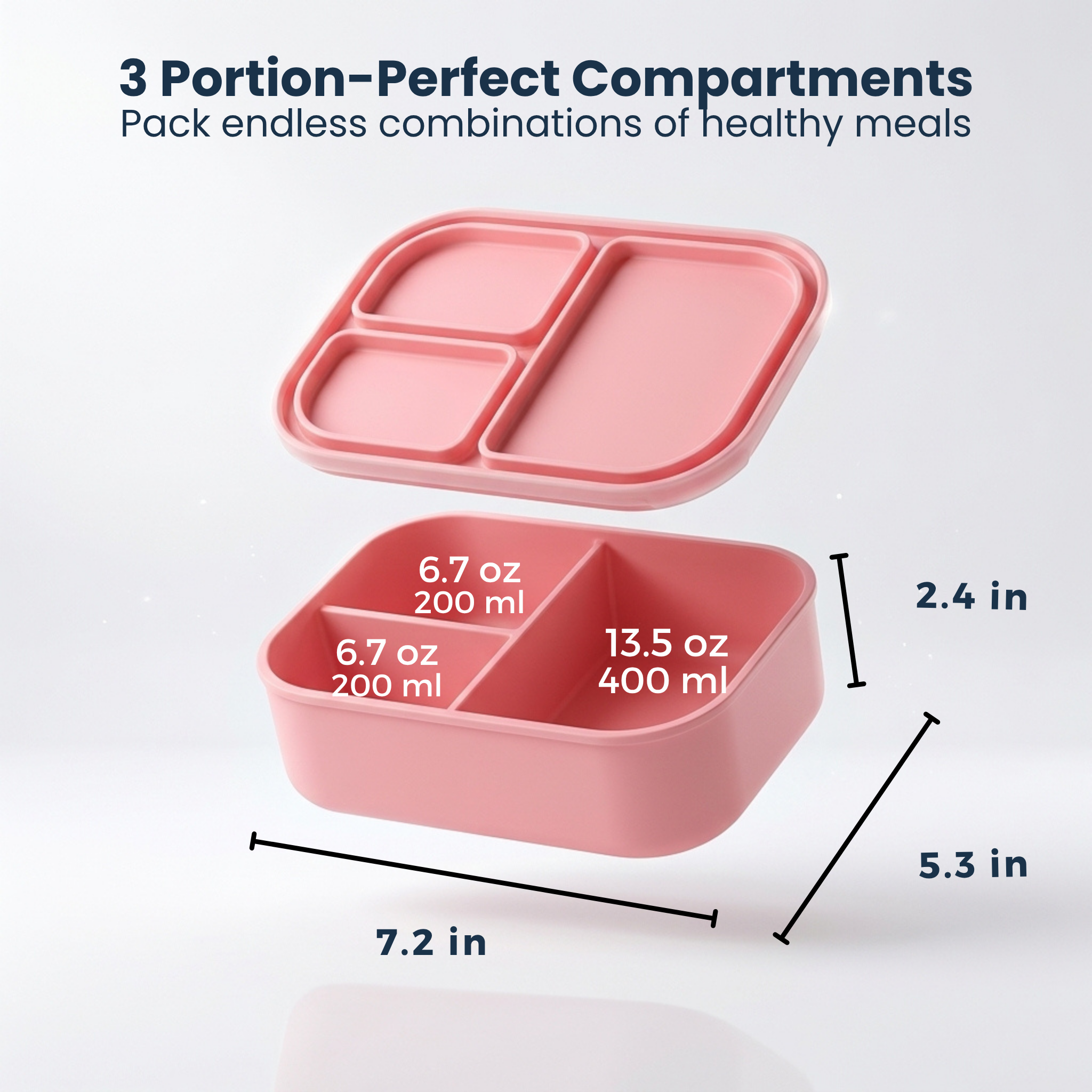 The Classic Bento Box