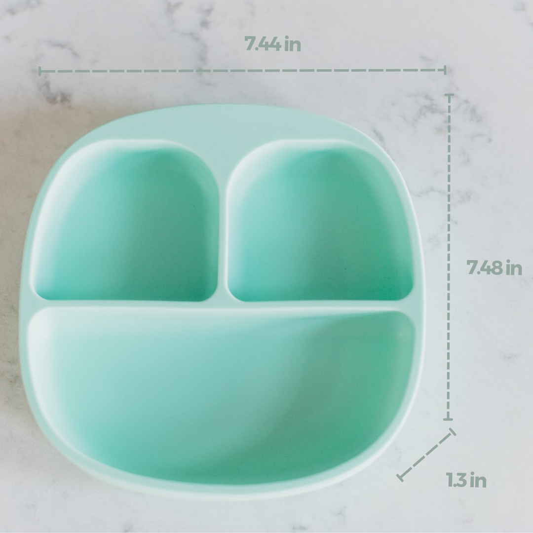 Divided Suction Plate