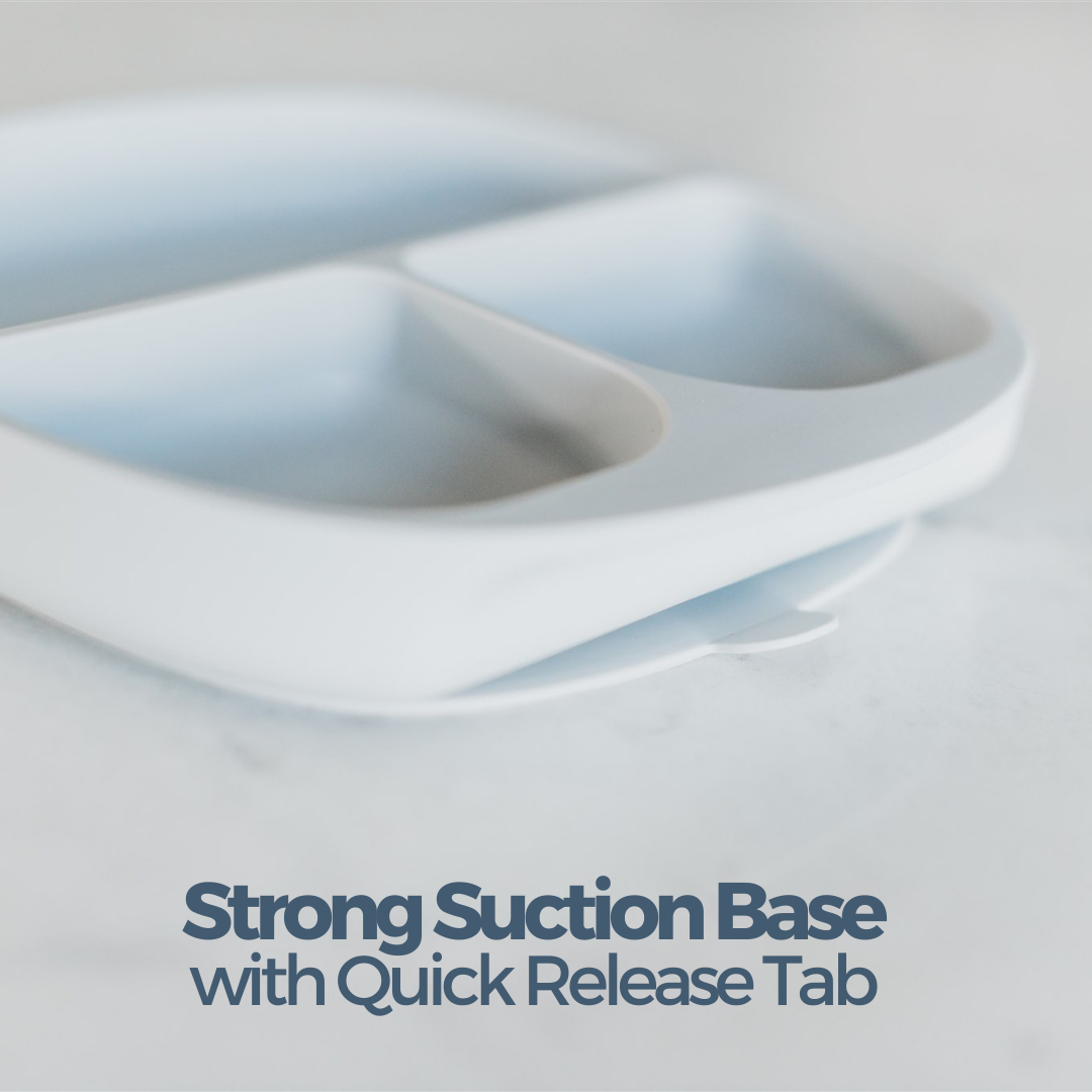 Divided Suction Plate