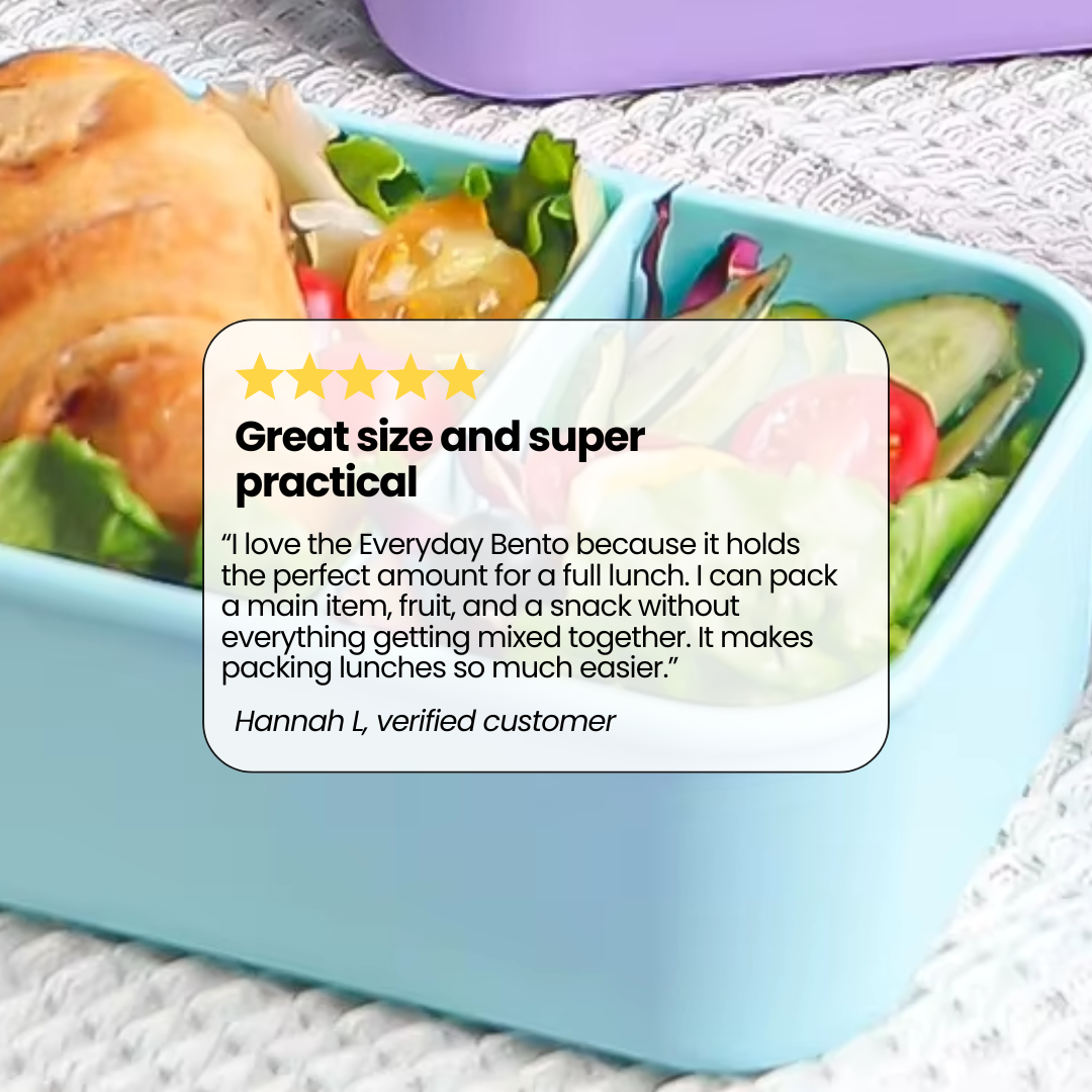 The Everyday Bento Box