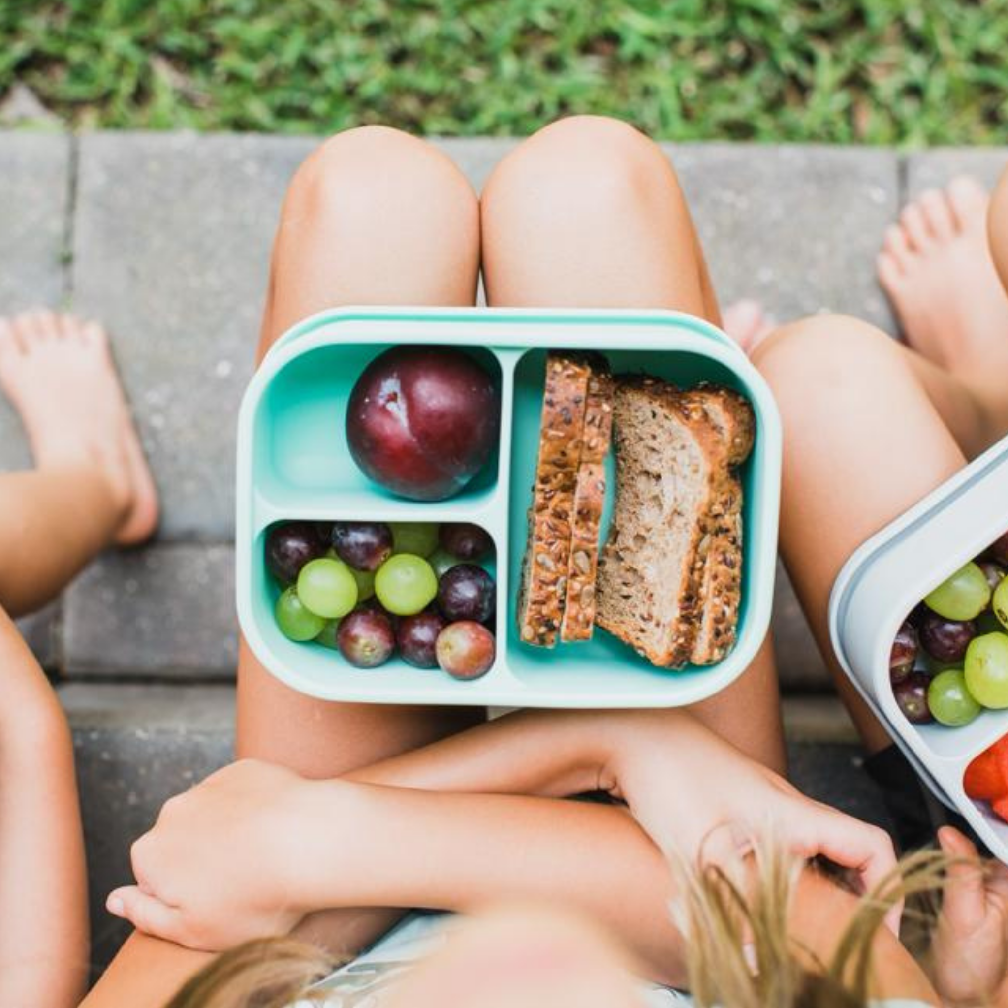 The Classic Bento Box