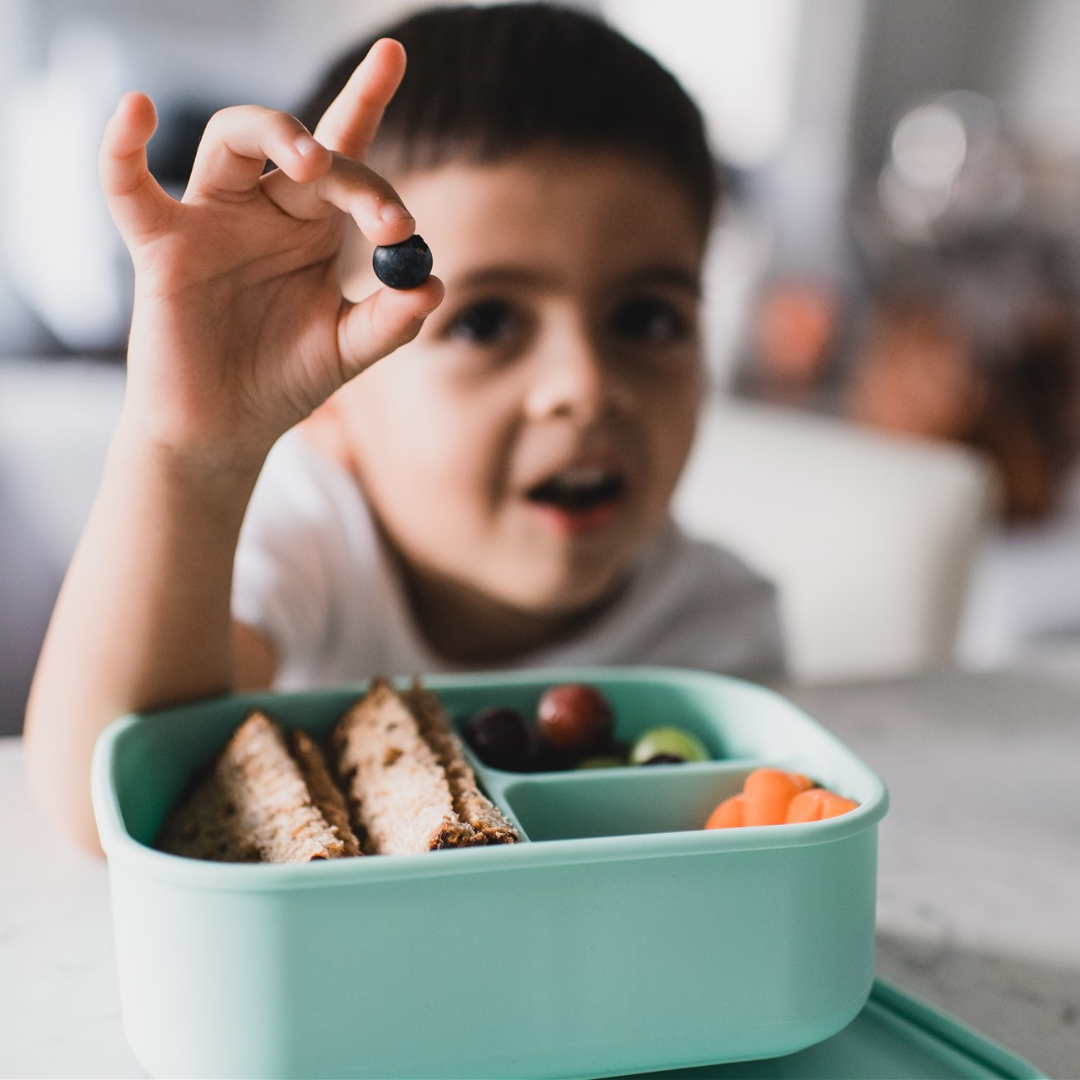 The "On-the-Go" Mealtime Set