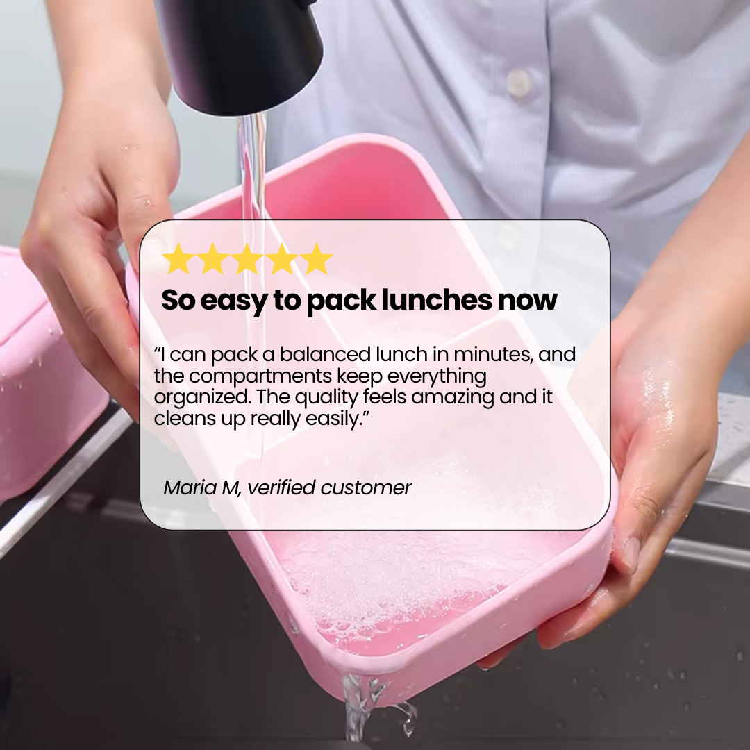 The Everyday Bento Box