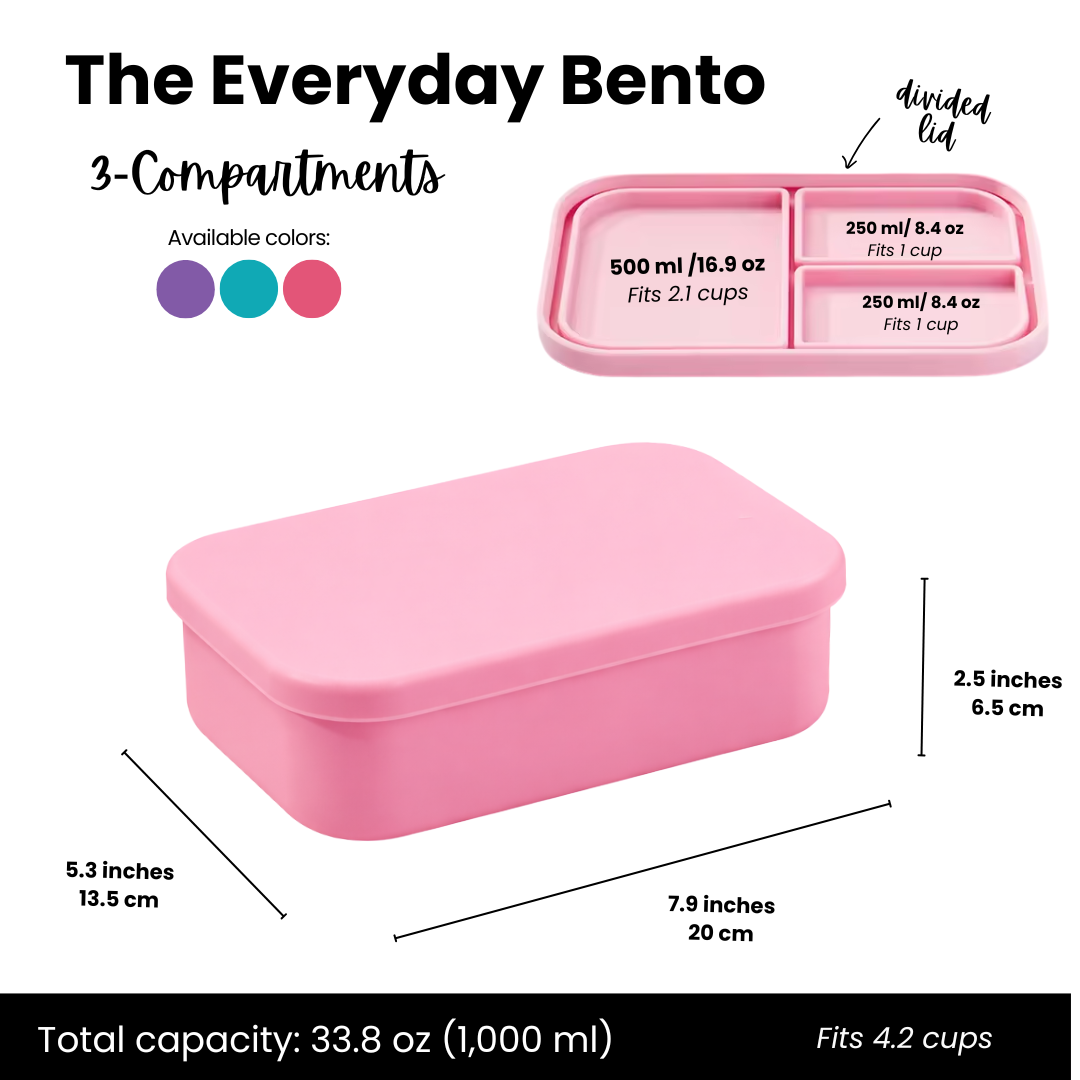 The Everyday Bento Box