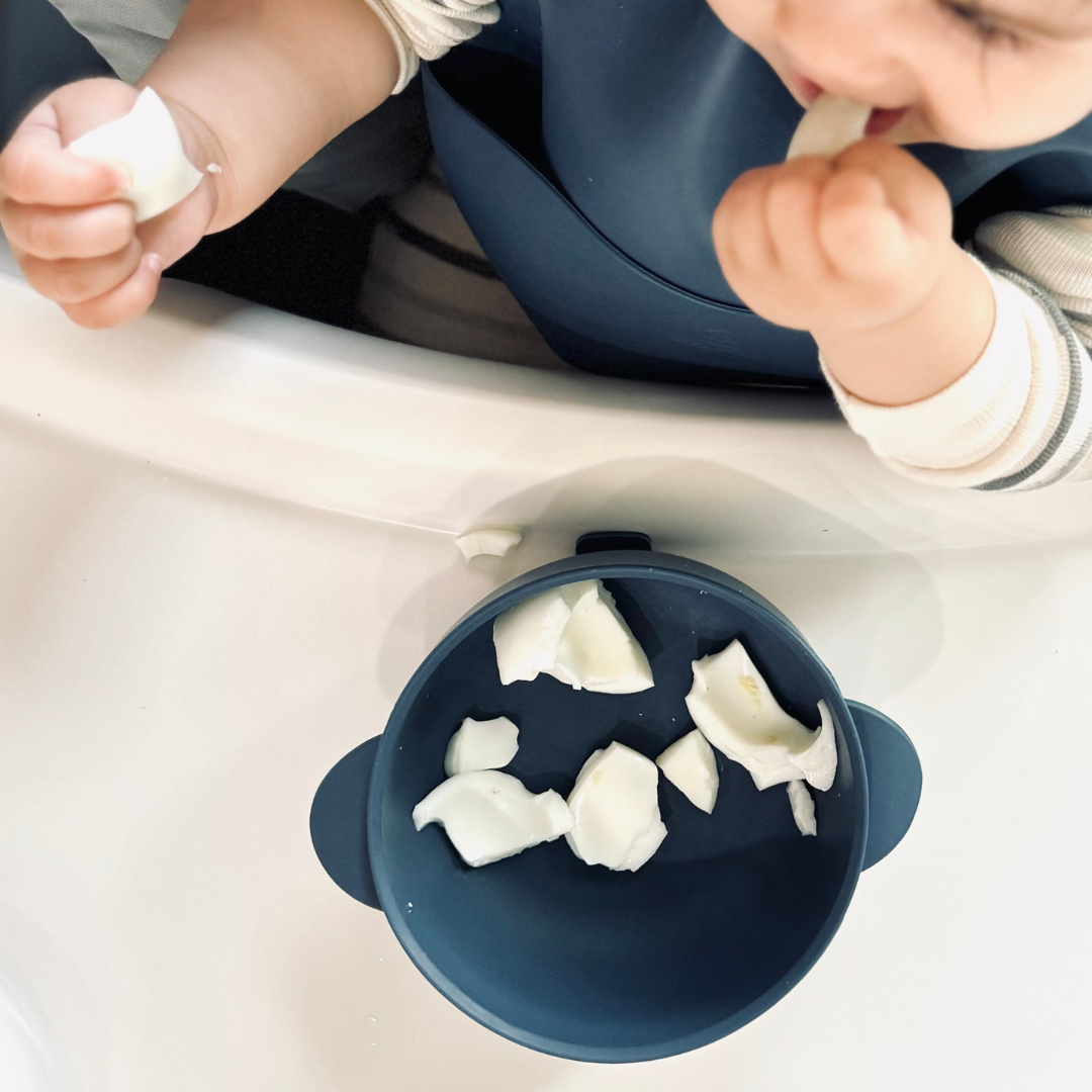 Baby Feeding Set | Silicone Bib & Bowl with Lid