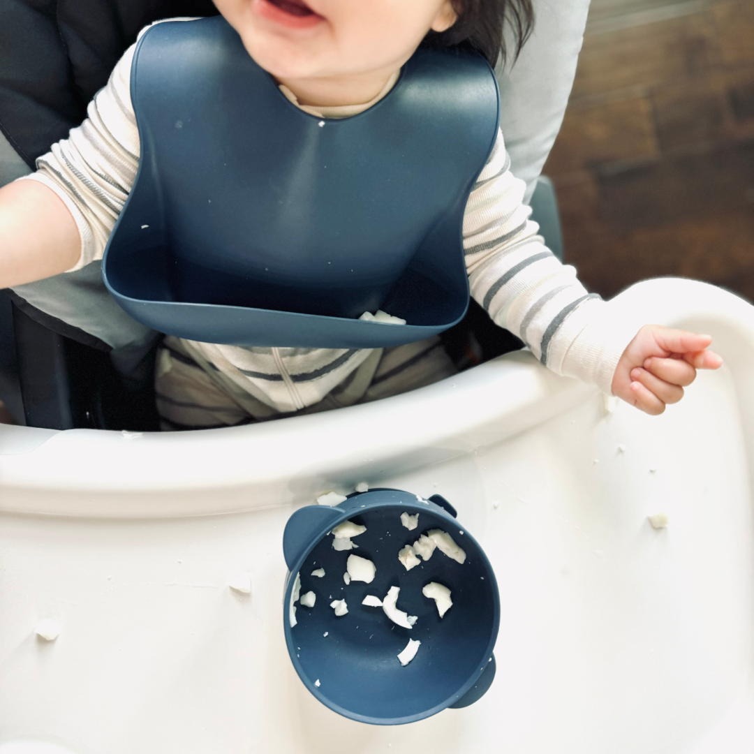Baby Feeding Set | Silicone Bib & Bowl with Lid