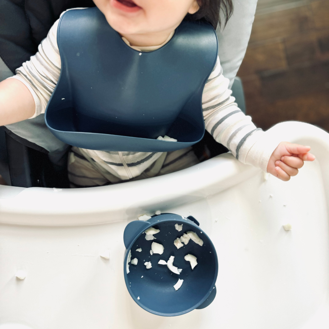 Baby Feeding Set | Suction Plate, Bowl & Silicone Bib