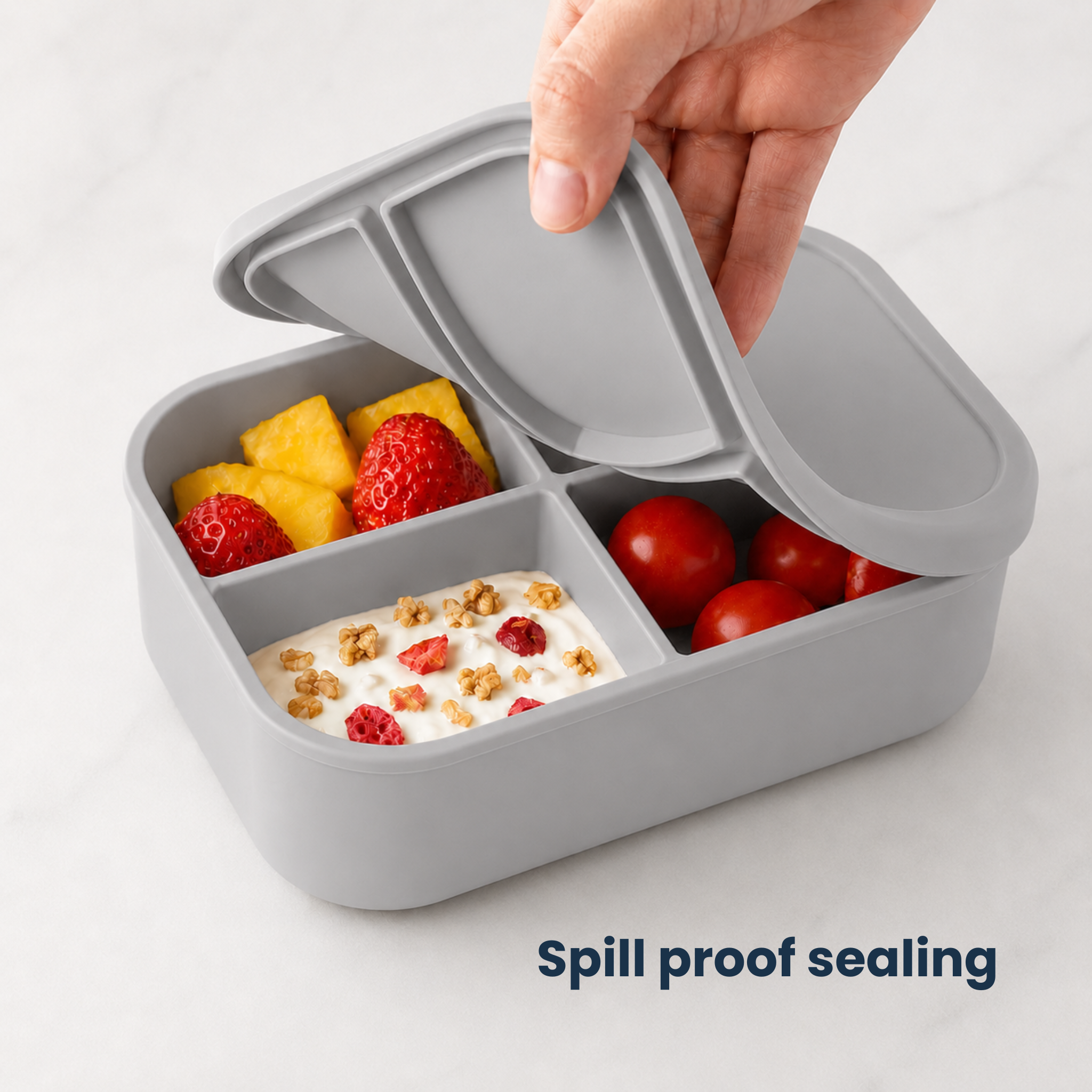 The Classic Bento Box