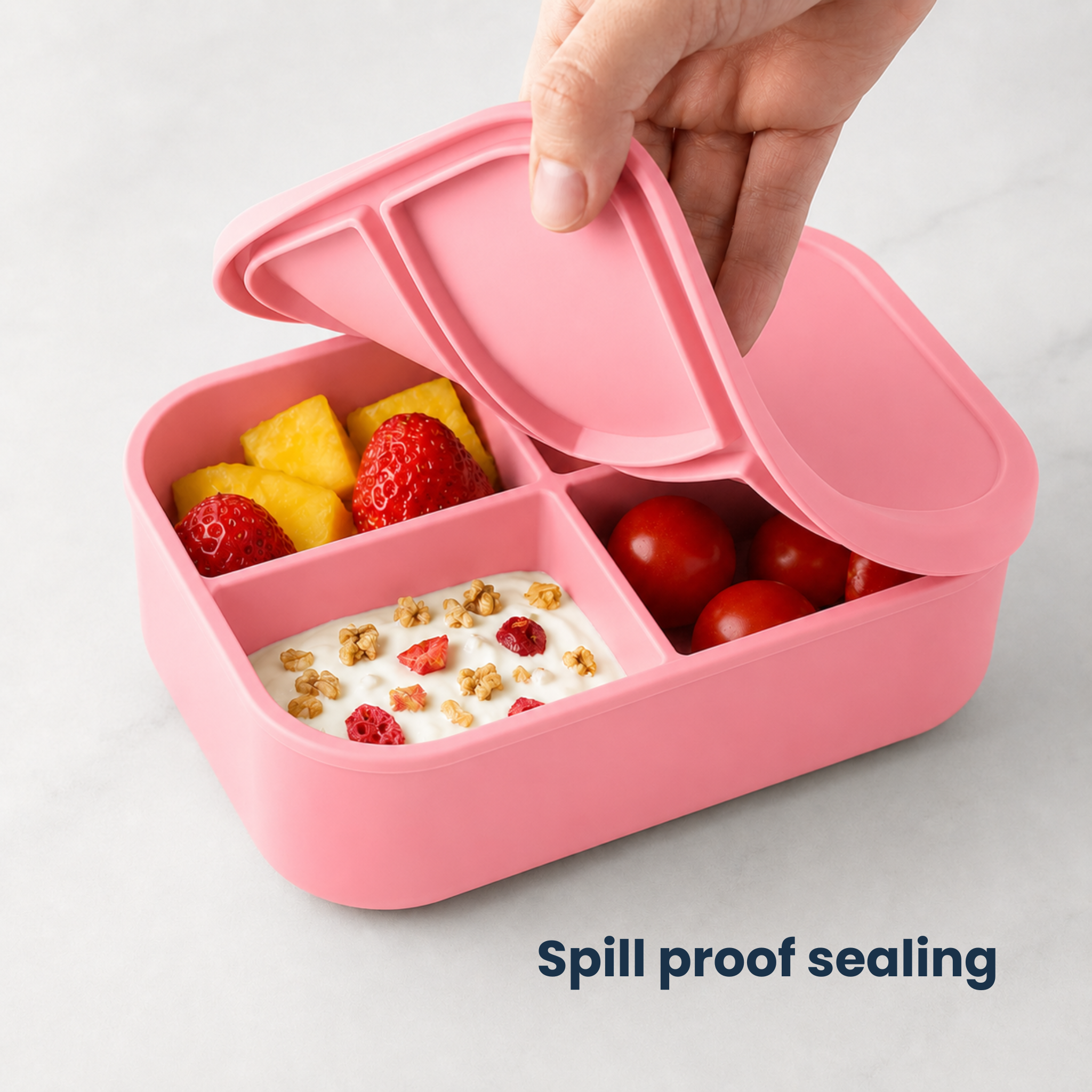 The Classic Bento Box
