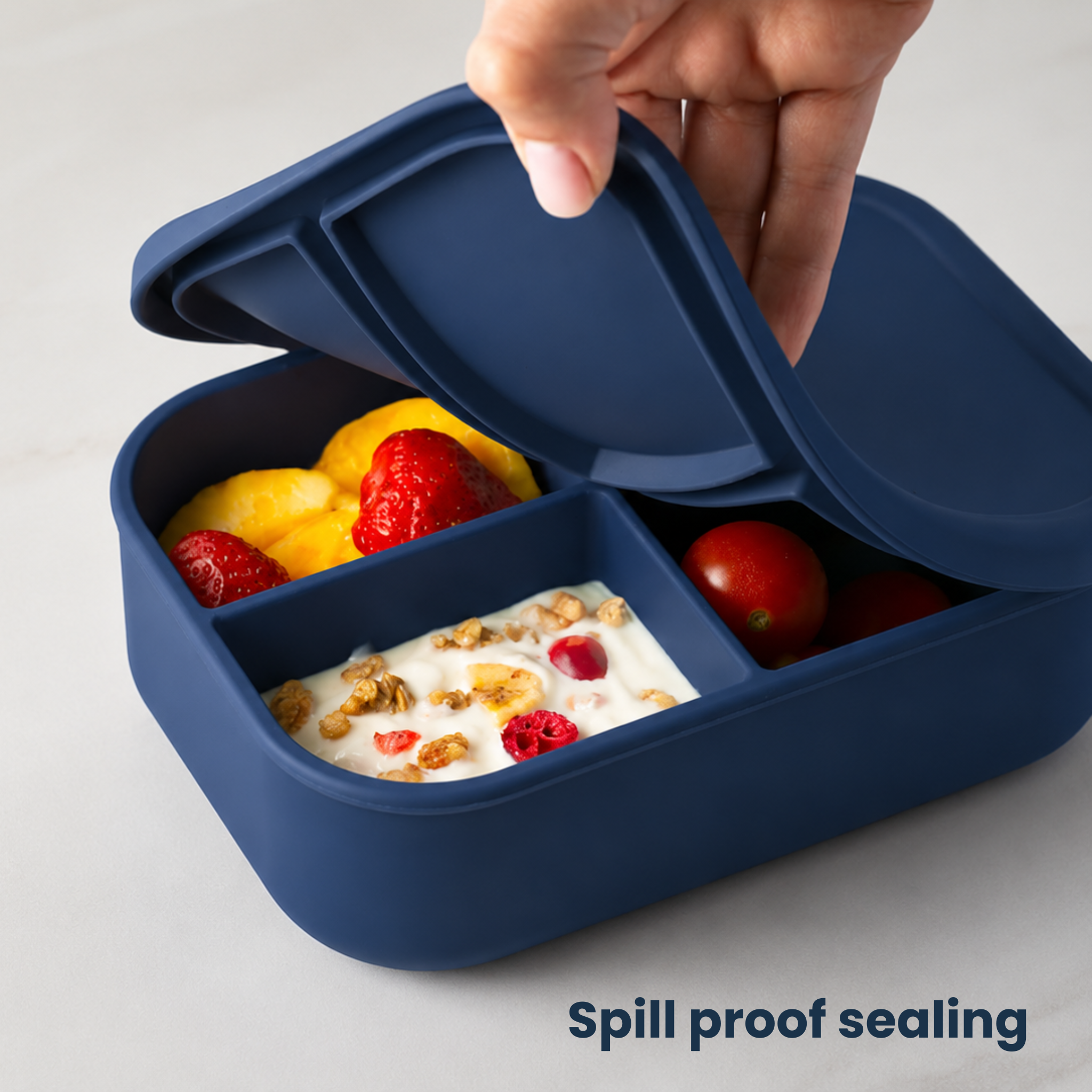The Classic Bento Box