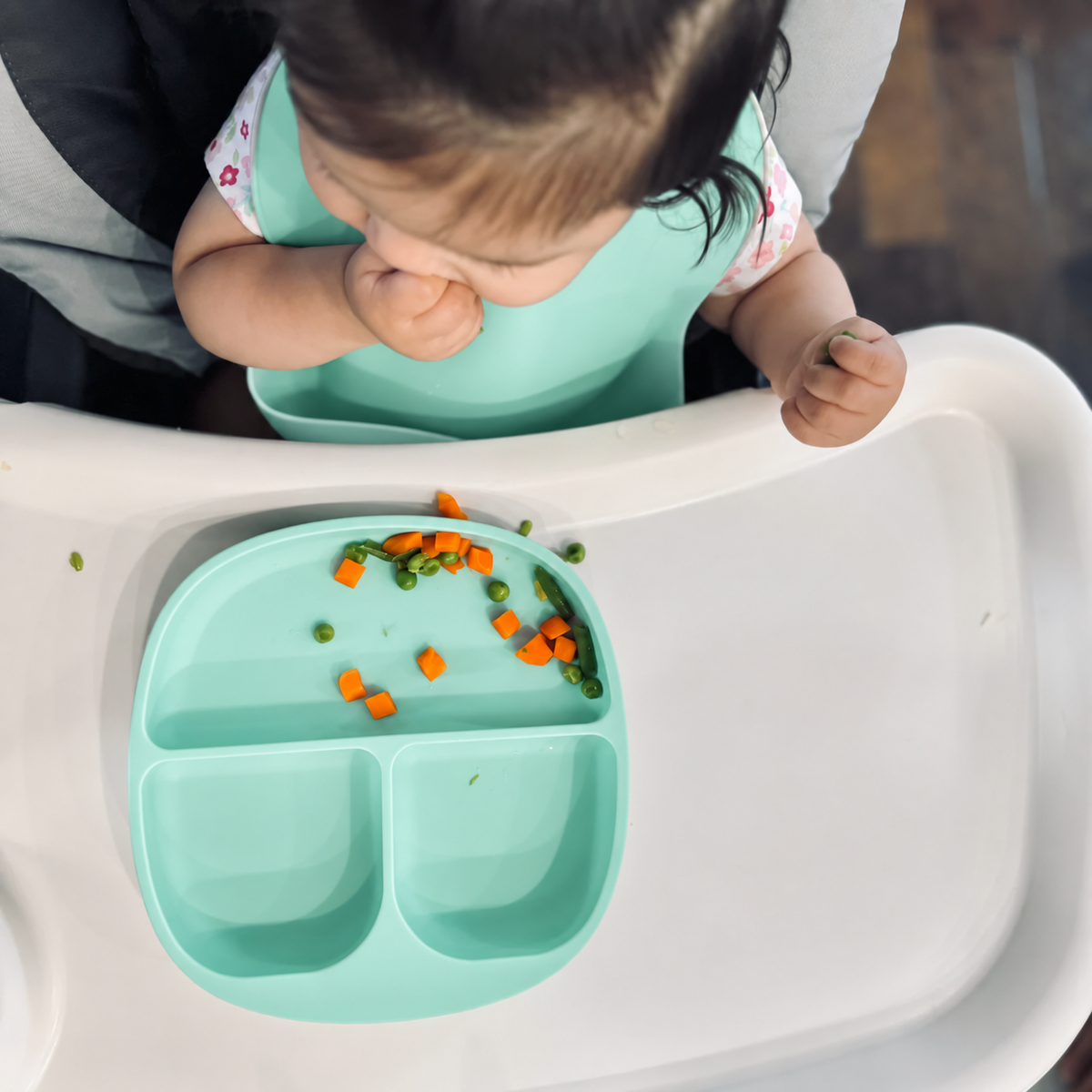 Divided Suction Plate