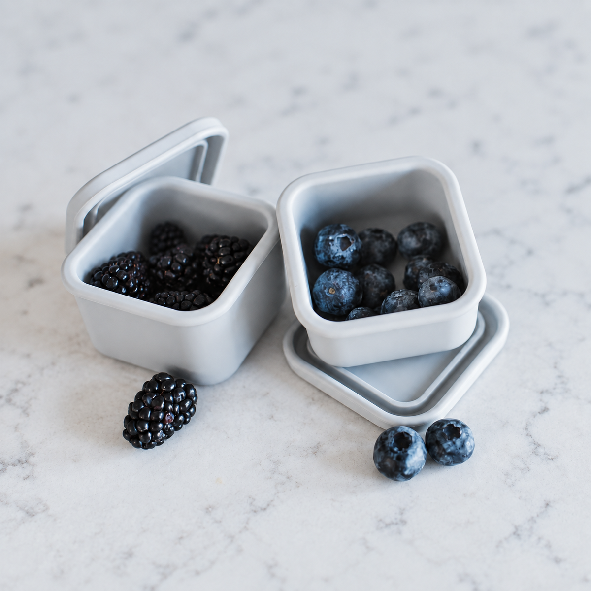 Mini Square Container - Treat (2-pack)