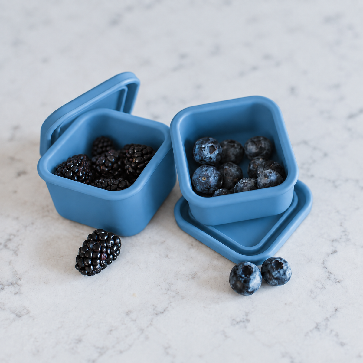 Mini Square Container - Treat (2-pack)