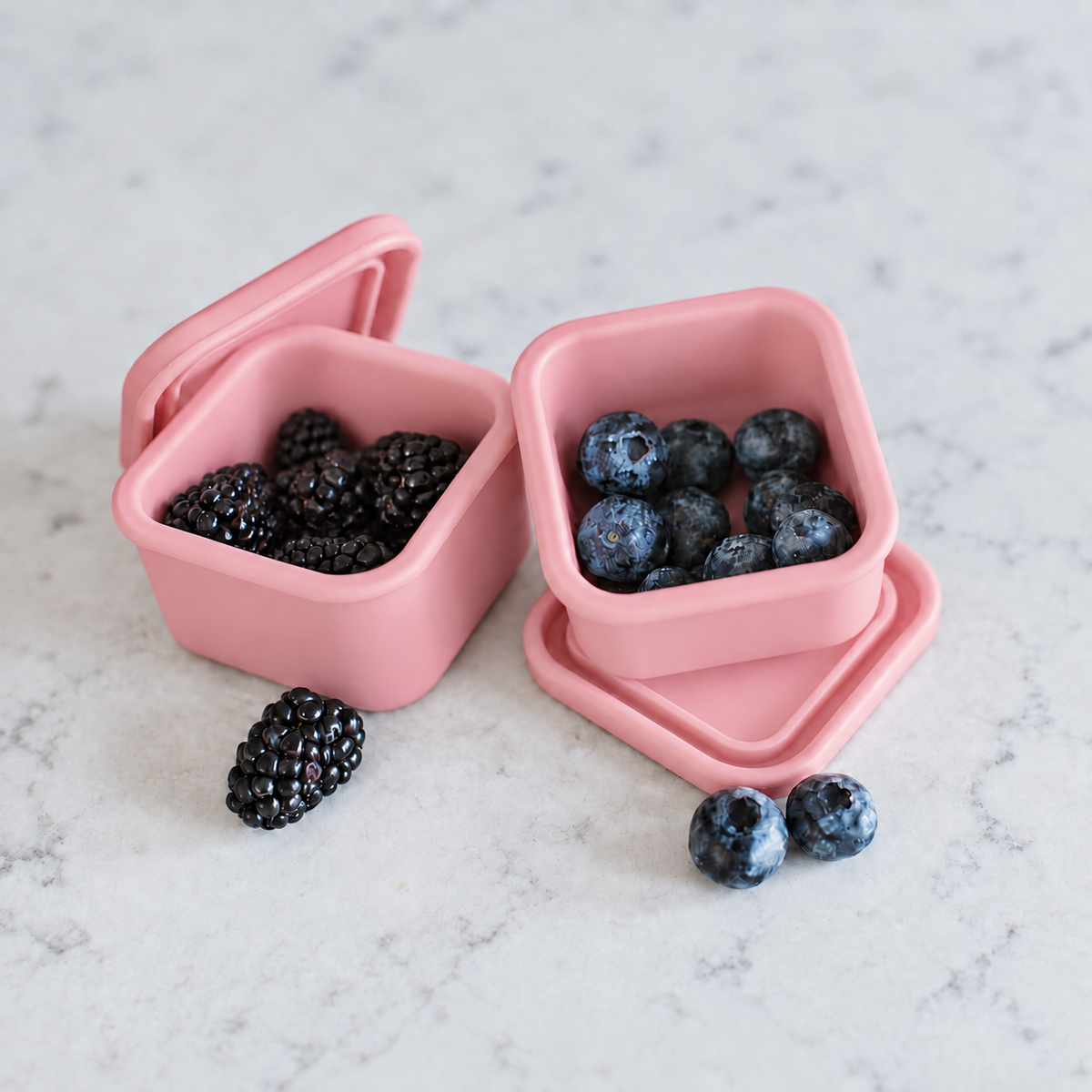Mini Square Container - Treat (2-pack)