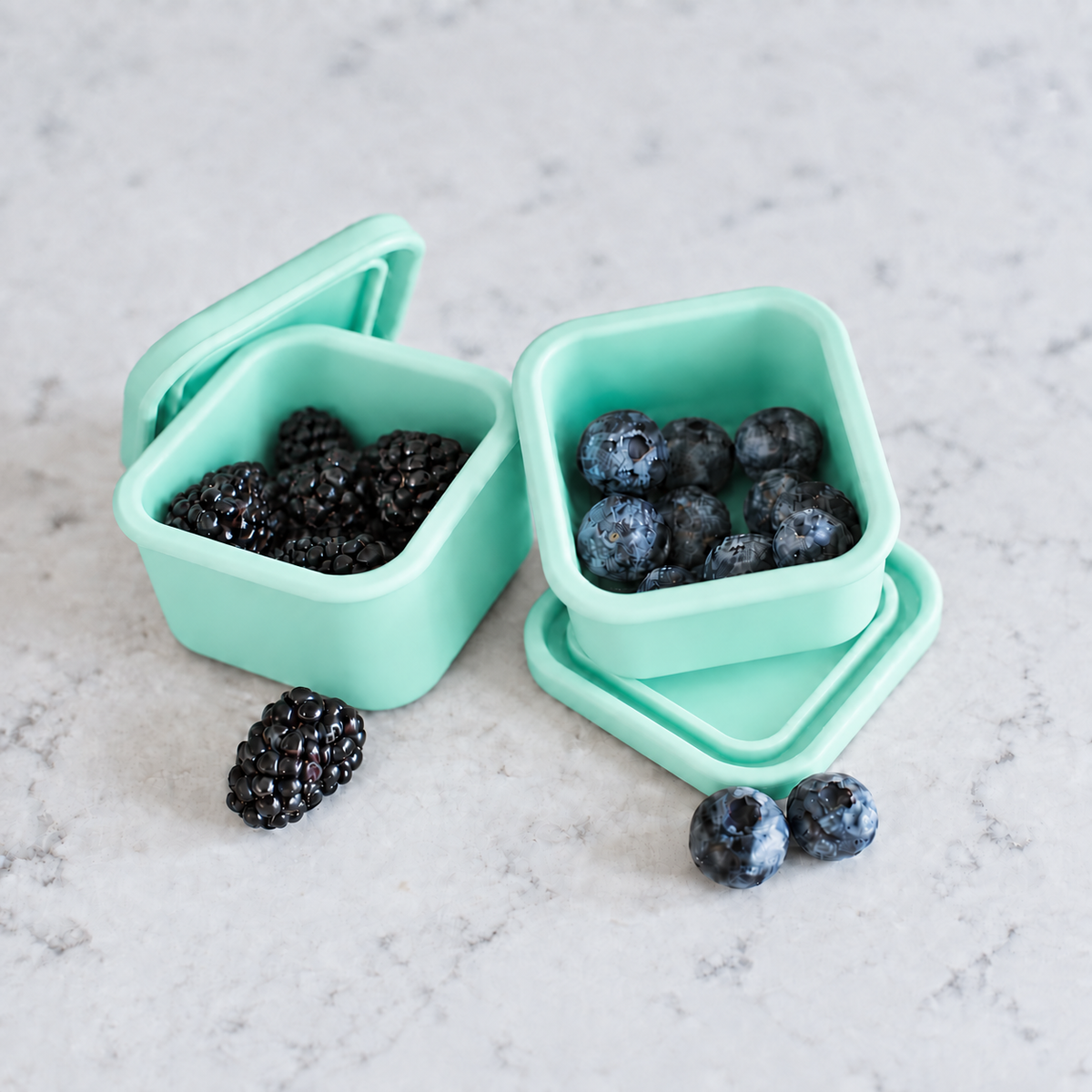 Mini Square Container - Treat (2-pack)
