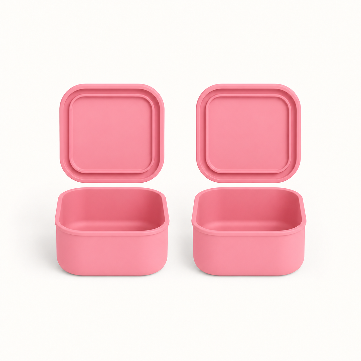 Mini Square Container - Treat (2-pack)