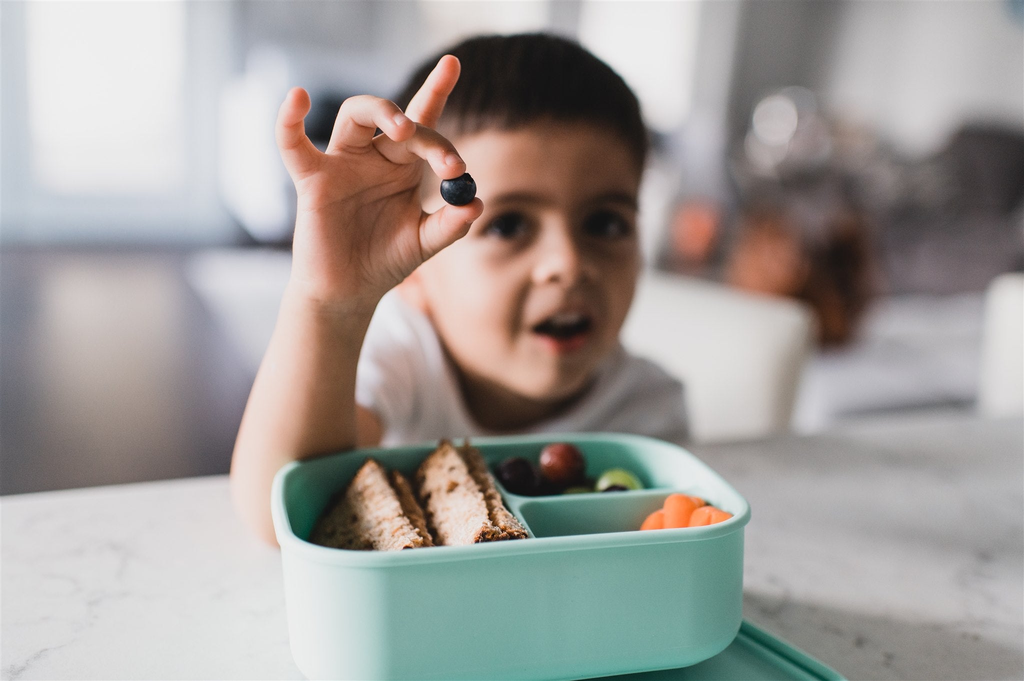 On-The-Go Meal Set | Bento Box & Travel Utensils Success