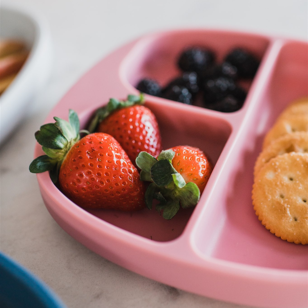 Divided Suction Plate