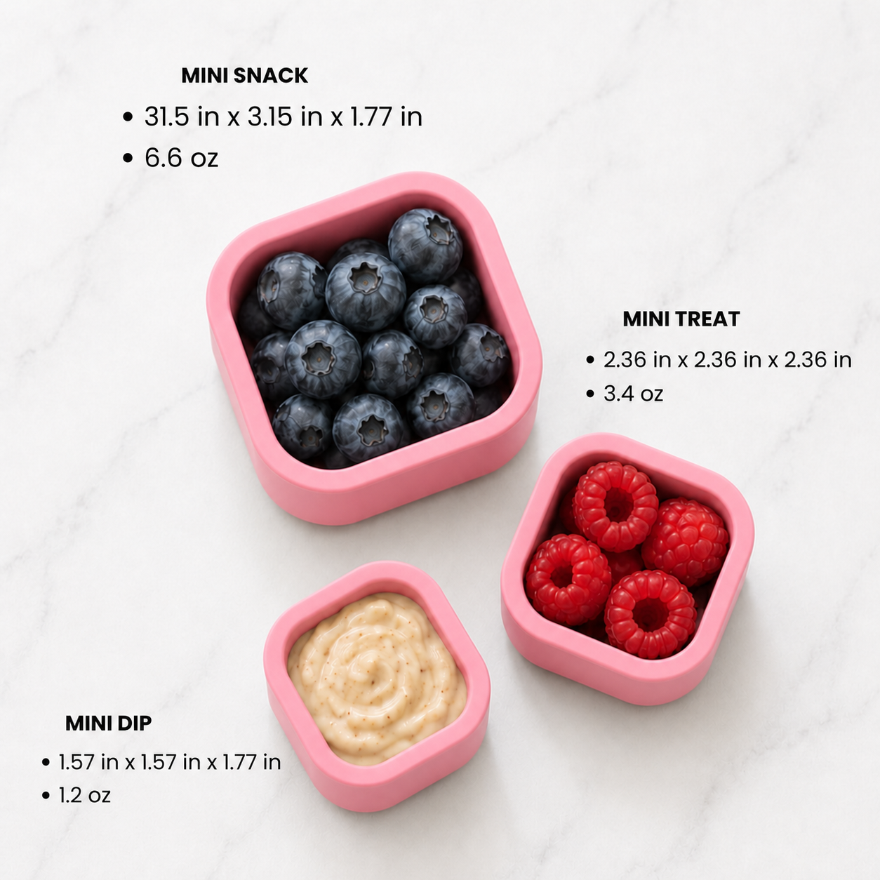 5-Piece Back-to-School Lunch Kit