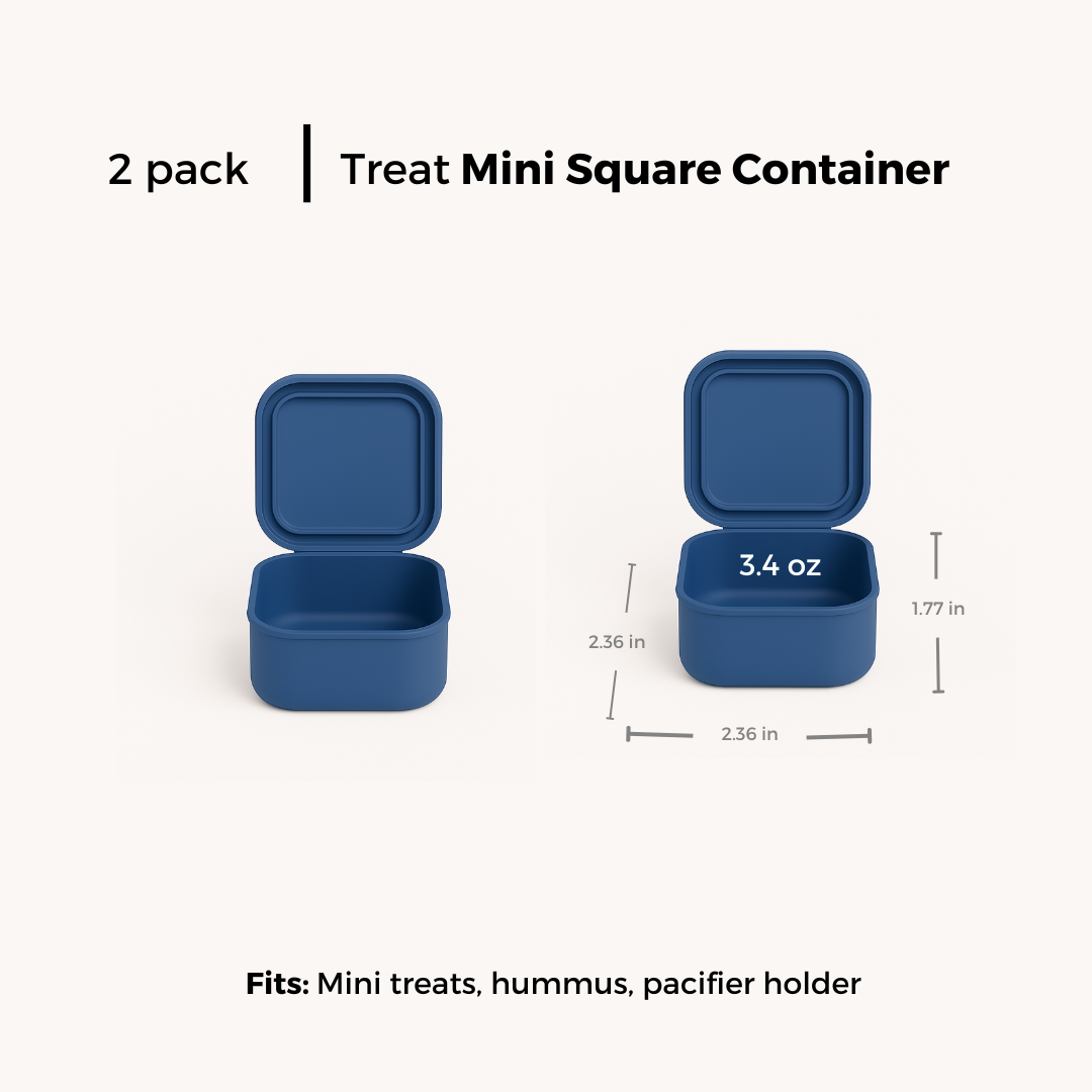 Mini Square Container - Treat (2-pack)