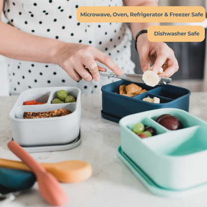 Meal Prep Bento Box Bundle | 4-Pack Lunch Set