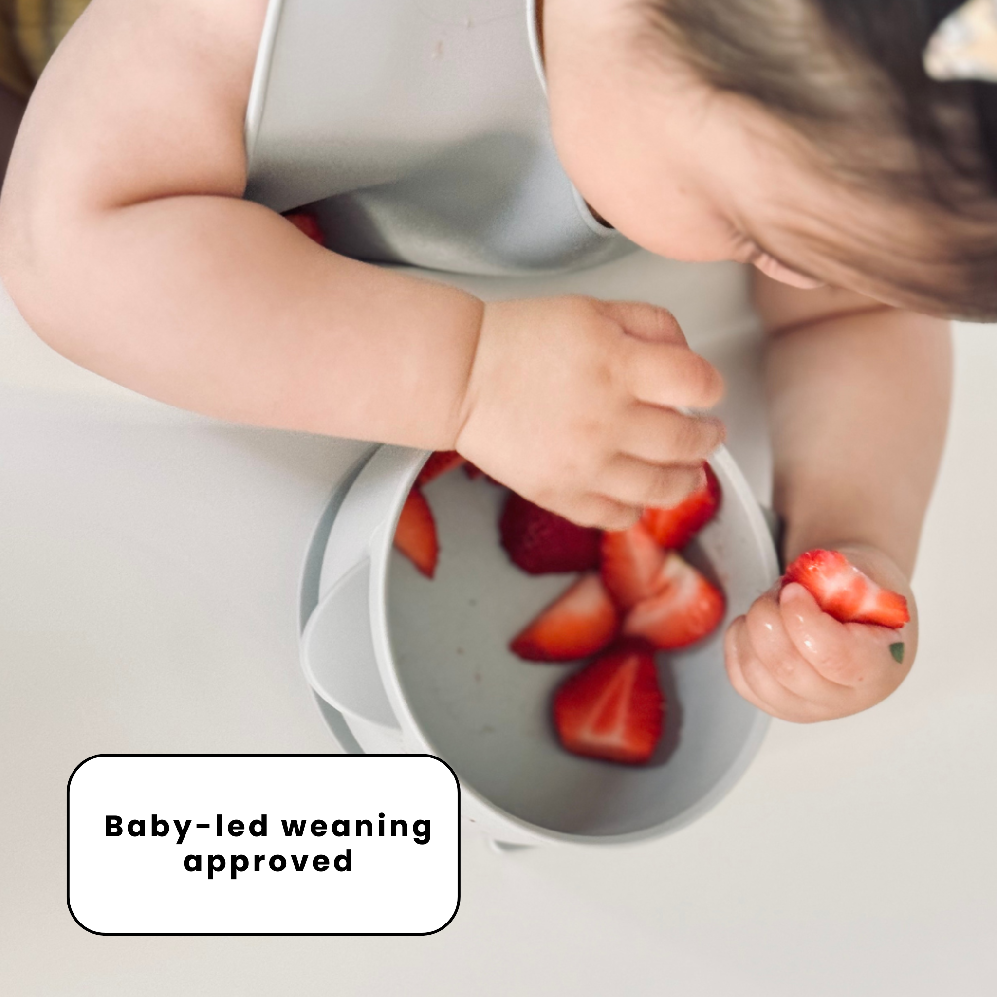 The Deluxe Mealtime Kit