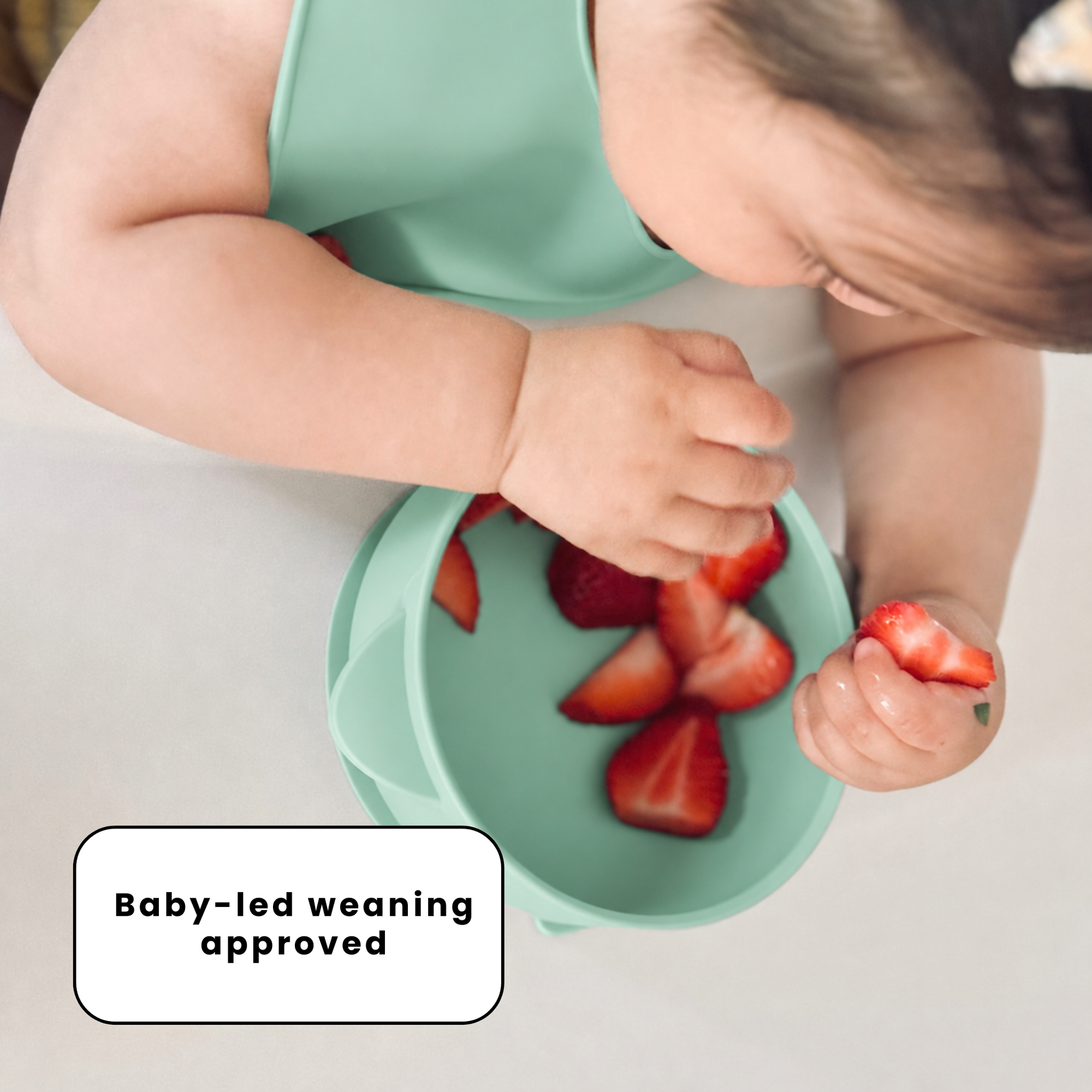 The Deluxe Mealtime Kit