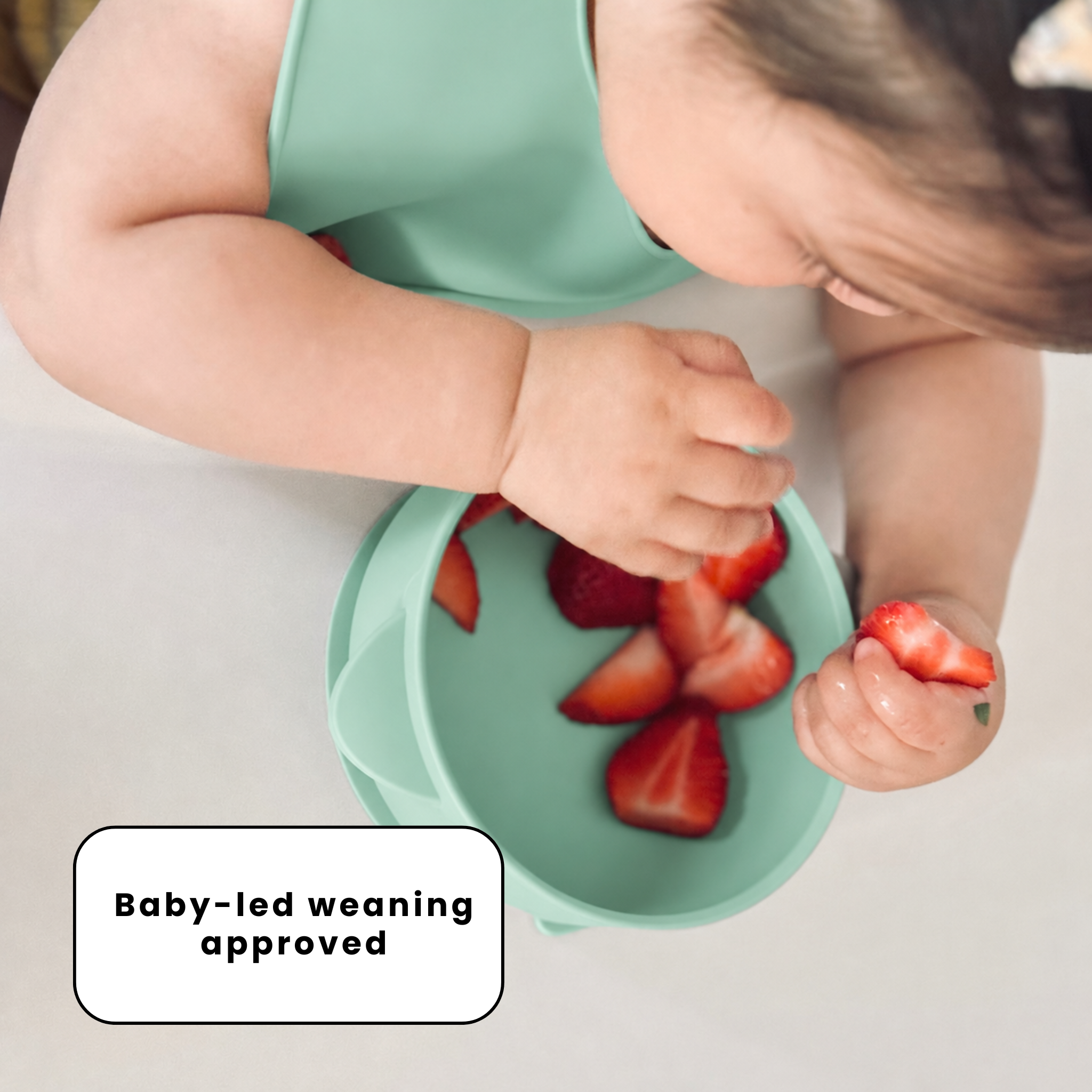 The Deluxe Mealtime Kit