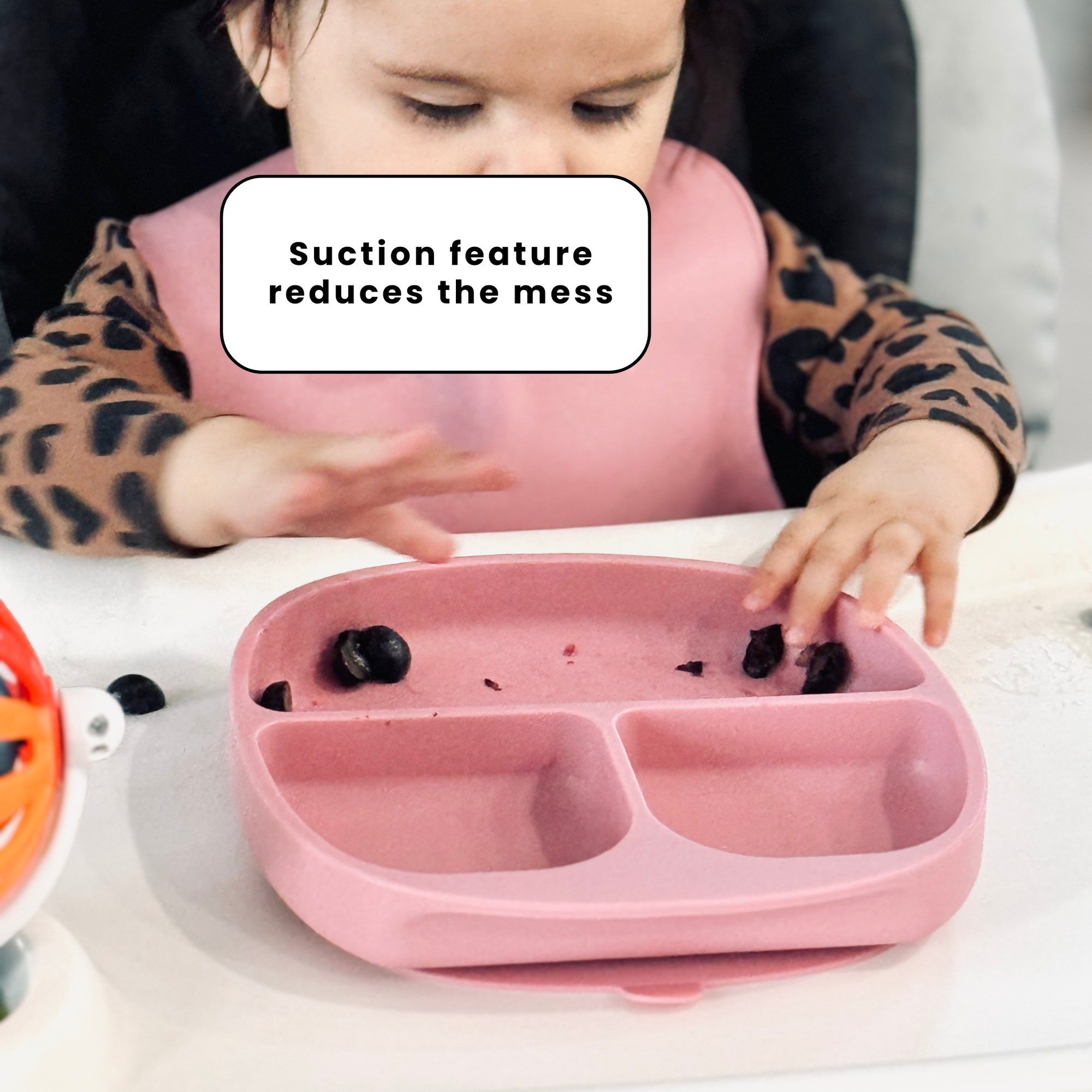 The Deluxe Mealtime Kit