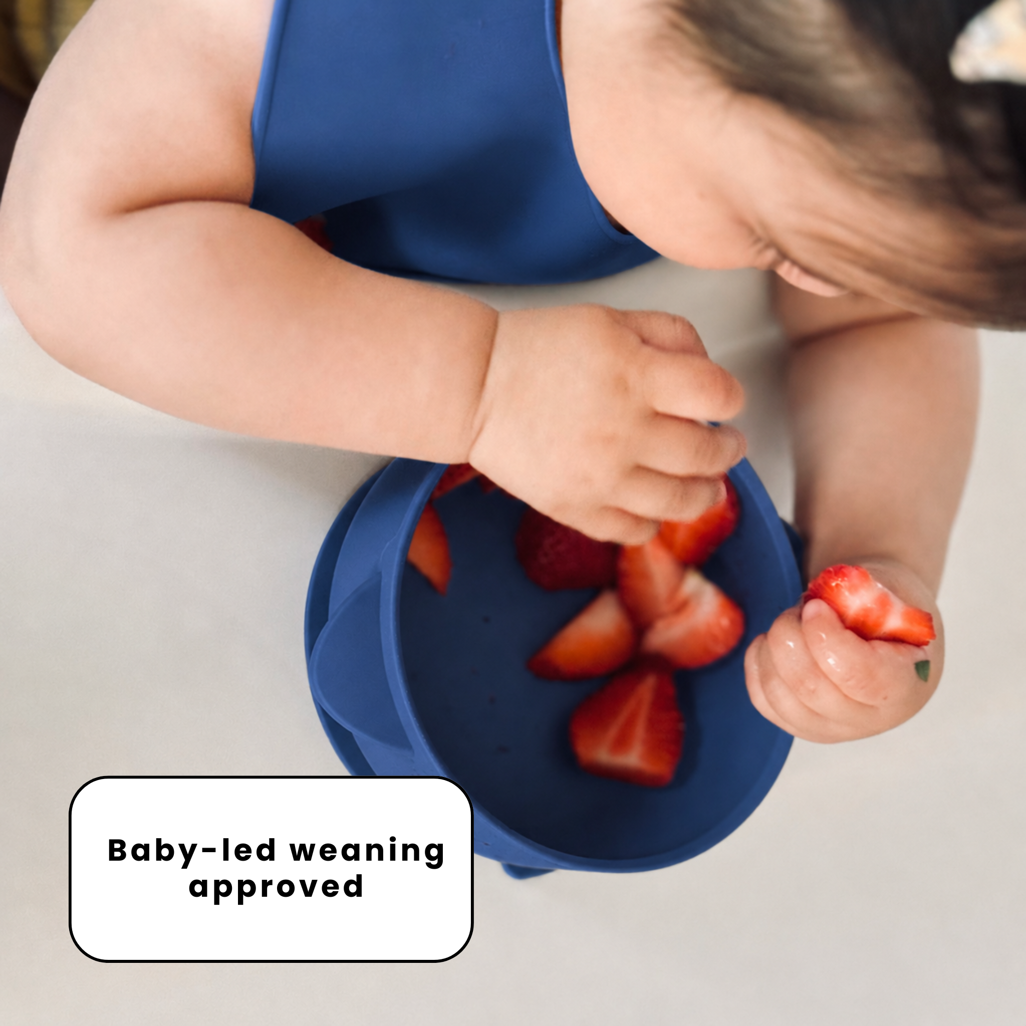 The Deluxe Mealtime Kit