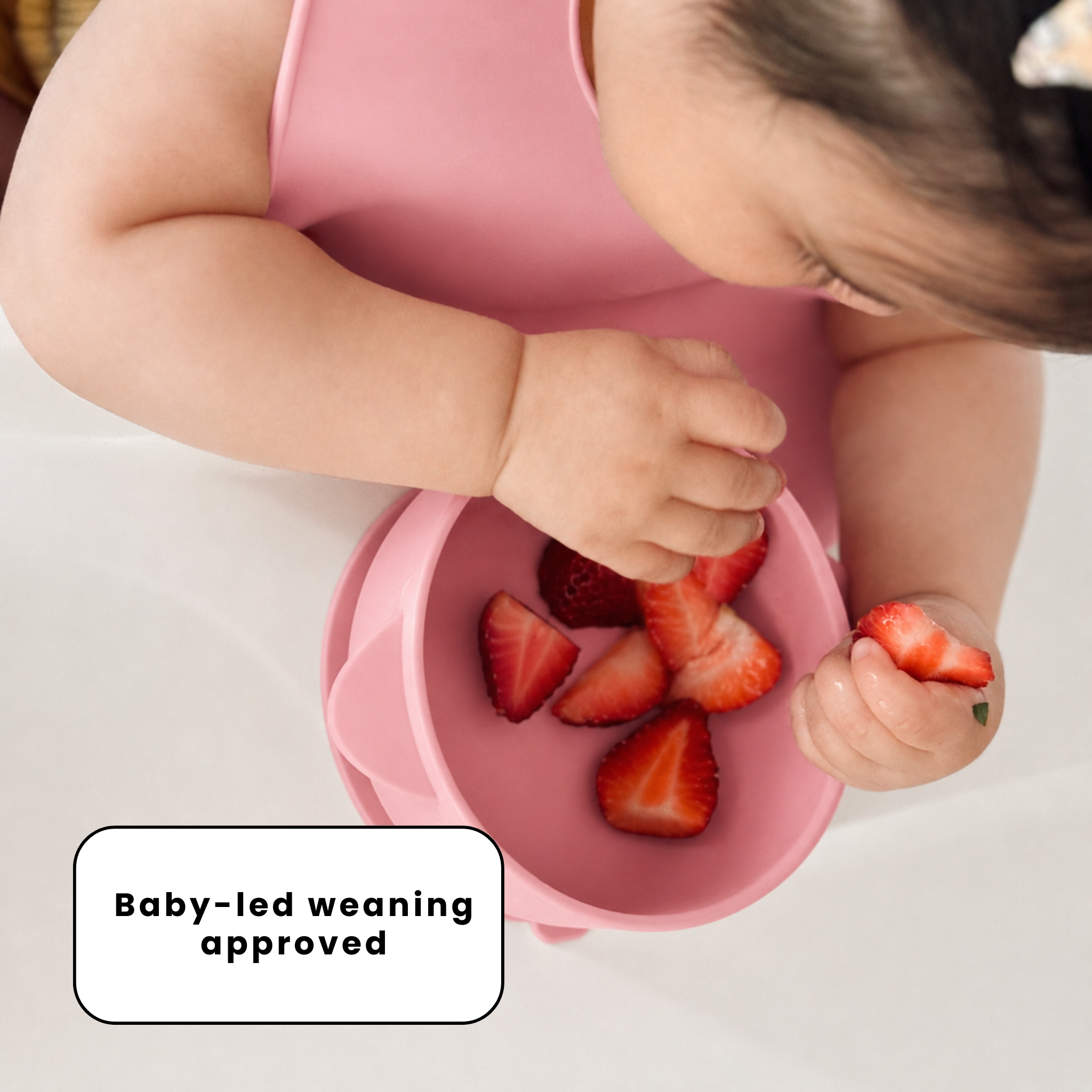 The Deluxe Mealtime Kit