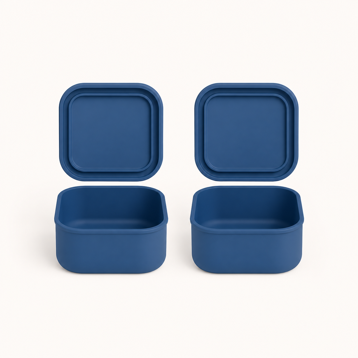 Mini Square Container - Treat (2-pack)