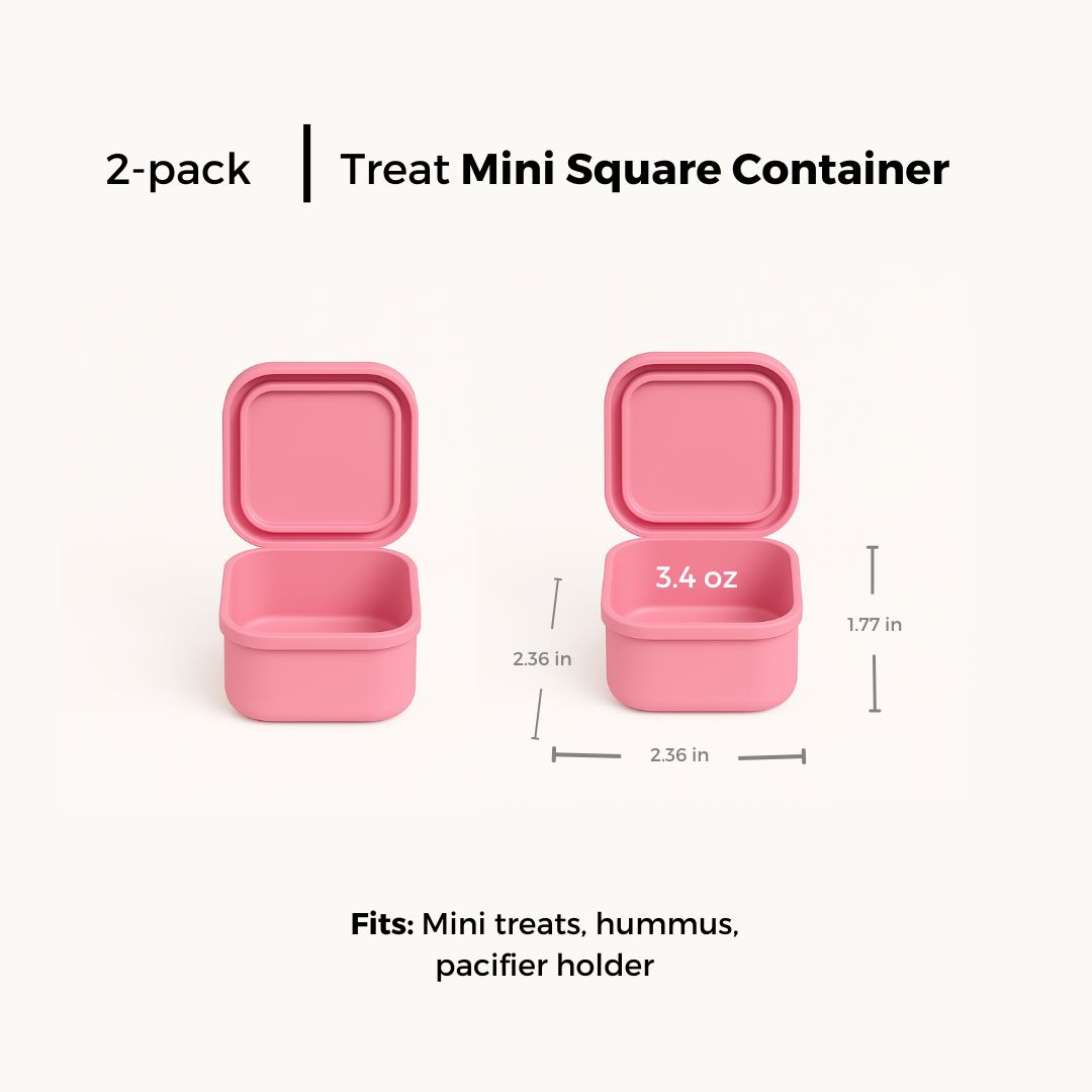 Mini Square Container - Treat (2-pack)