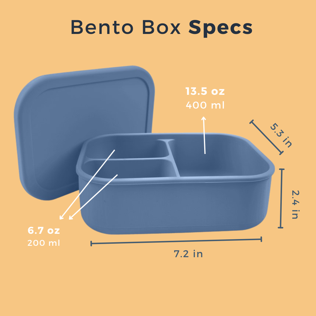 The Bento Box